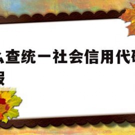 怎么查统一社会信用代码的真假(怎么查统一社会信用代码的真假鉴别)