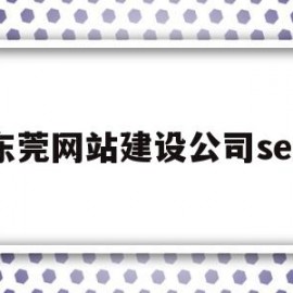 东莞网站建设公司seo(东莞网站建设公司口碑排名)