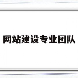 网站建设专业团队(网站建设专业团队名称)
