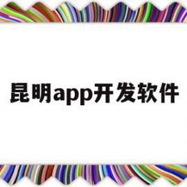 昆明app开发软件(昆明软件开发公司推荐)