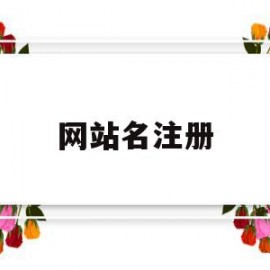 网站名注册(网站注册用户名怎么填)