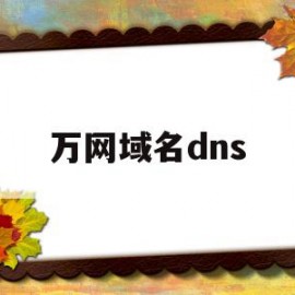 万网域名dns(万网域名注册查询)
