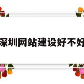 深圳网站建设好不好(深圳网站建设方案开发)