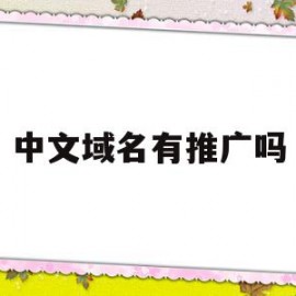 中文域名有推广吗(中文域名有投资价值吗)