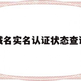 包含域名实名认证状态查询的词条