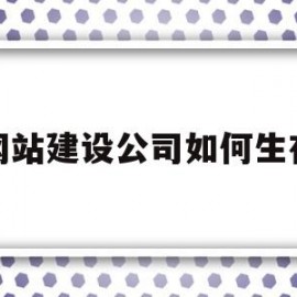网站建设公司如何生存(网站建设公司怎么收费呢)