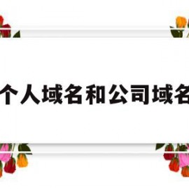 个人域名和公司域名(域名在个人名下还是公司名下好)