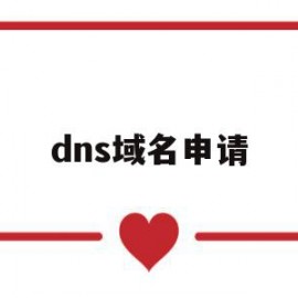 dns域名申请(域名dns生效检测)