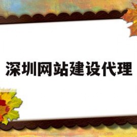深圳网站建设代理(深圳网站建设服务公司)