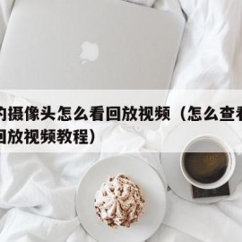 家里的摄像头怎么看回放视频（怎么查看摄像头的回放视频教程）