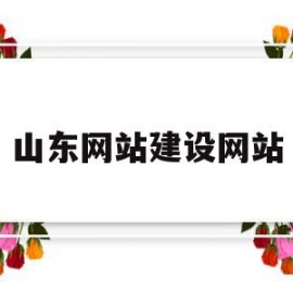 山东网站建设网站(山东网站建设网站是什么)