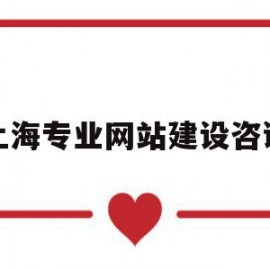 上海专业网站建设咨询(上海网站建设技术支持)