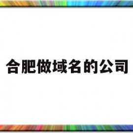 合肥做域名的公司(做域名的互联网公司)