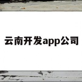 云南开发app公司(云南软件开发公司推荐)