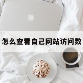 怎么查看自己网站访问数(怎么看网站访问数据)