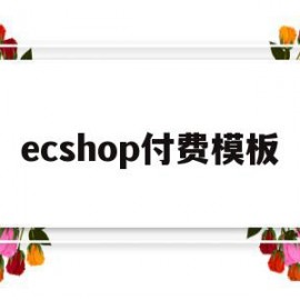 ecshop付费模板(ecshop一号店)
