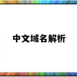 中文域名解析(中文域名解析ip)