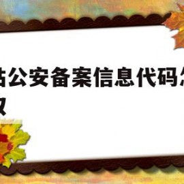 网站公安备案信息代码怎么获取(网站公安备案信息代码怎么获取的)