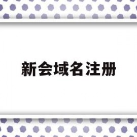 新会域名注册(域名注册流程)