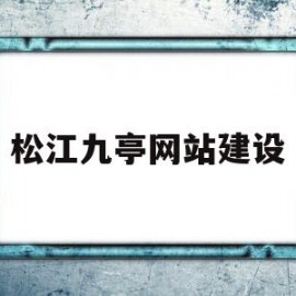 松江九亭网站建设(松江区九亭)