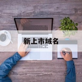 新上市域名(域名上市公司)