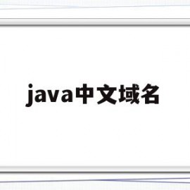 java中文域名(javalib新域名)