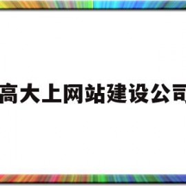 高大上网站建设公司(知名网站建设公司排名)