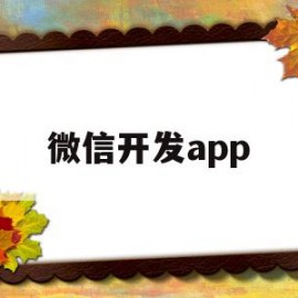 微信开发app(微信开发api文档)