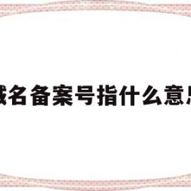 域名备案号指什么意思(域名备案号是什么)