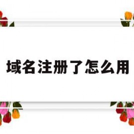域名注册了怎么用(域名注册好了怎么弄网站)