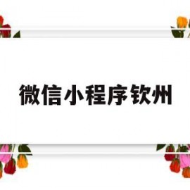 微信小程序钦州(vx小程序)