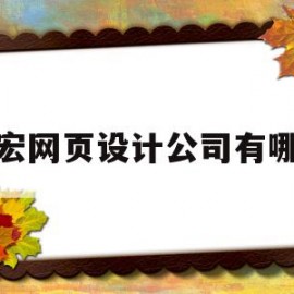 包含德宏网页设计公司有哪些的词条