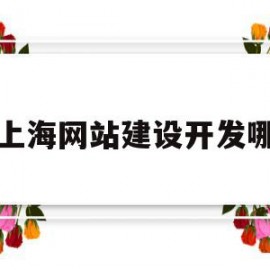 上海网站建设开发哪(上海网站建设开发哪家公司好)