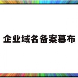 企业域名备案幕布(企业备案域名容易掉吗)