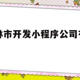 吉林市开发小程序公司有哪些(吉林市开发小程序公司有哪些公司)