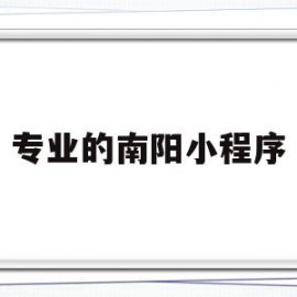专业的南阳小程序(南阳小程序开发哪家好)