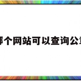 哪个网站可以查询公章(哪个网站可以查询公章编号信息)