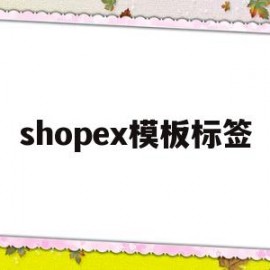 shopex模板标签(shopee标题生成器)