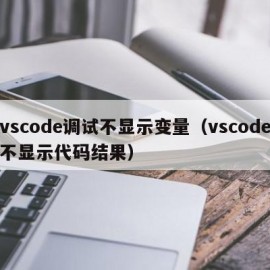 vscode调试不显示变量（vscode不显示代码结果）