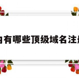 国内有哪些顶级域名注册商(国内有哪些顶级域名注册商标的公司)