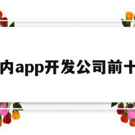 国内app开发公司前十名(国内app开发公司前十名有哪些)
