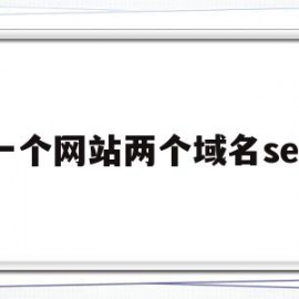 一个网站两个域名seo(一个网站两个域名都收录吗)