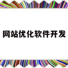网站优化软件开发(网站优化软件开发工作内容)