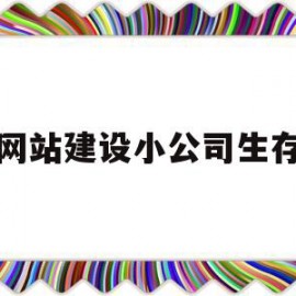 网站建设小公司生存(小型企业网站建设公司)