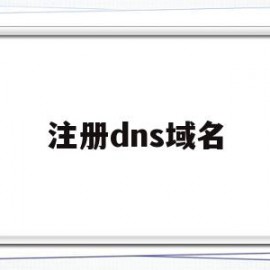 注册dns域名(dns注册表)