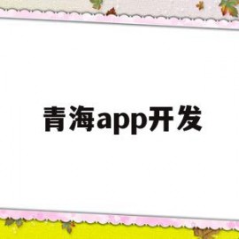 青海app开发(青海软件测试)