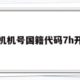 飞机机号国籍代码7h开头(中国的飞机的国籍注册号开头的字母是)