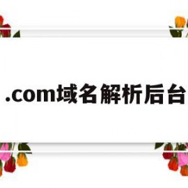 .com域名解析后台(com域名解析ip地址)