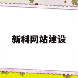 新科网站建设(定制建站网站建设)