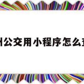 达州公交用小程序怎么查询(达州市公交车怎么用手机支付)